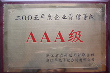 AAA credit rating companies in 2005